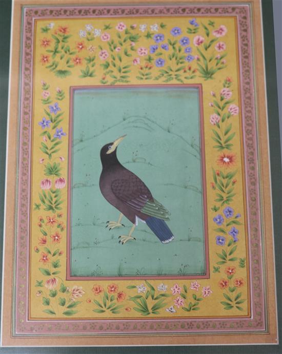 Indian School, five gouache, studies of birds largest 30 x 22cm